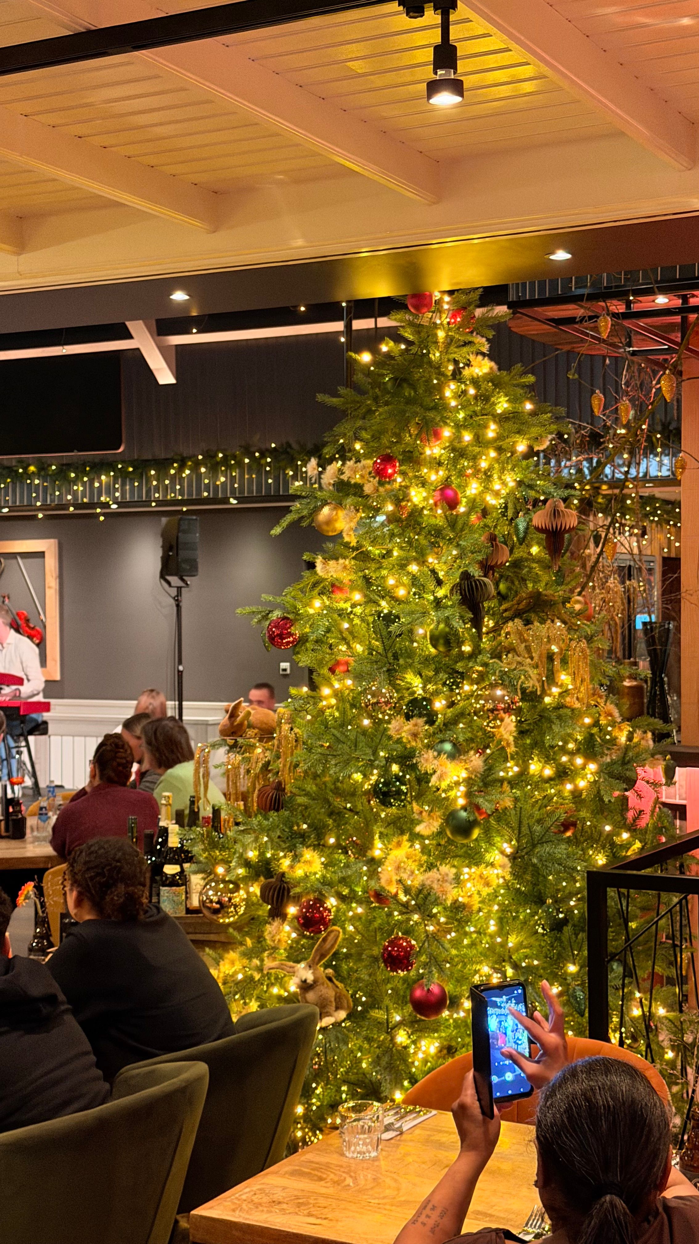 Gasten aan tafel naast de verlichte kerstboom in 't Noorden